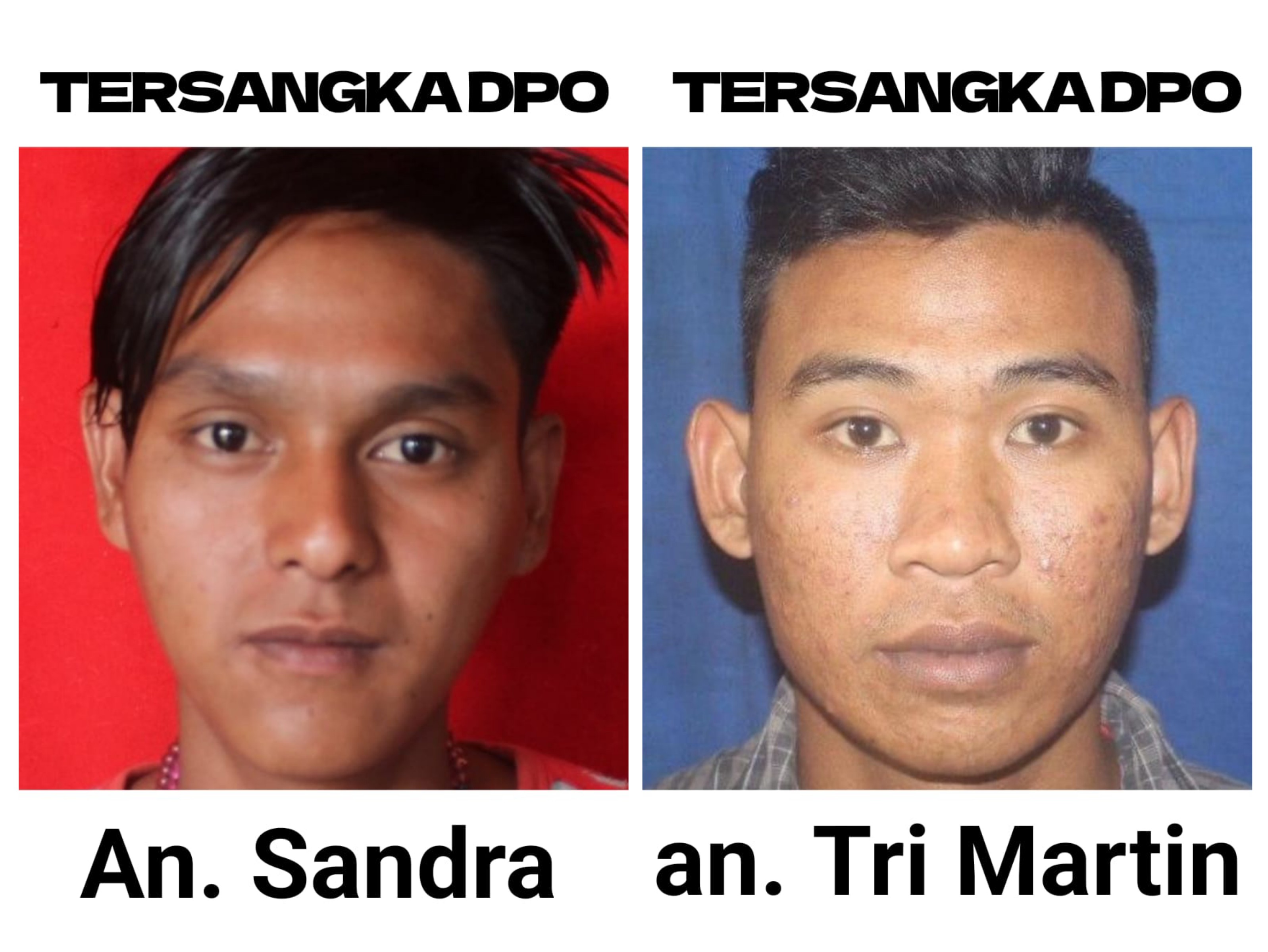 20251017_204357-COLLAGE