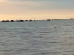 IMG-20260826-WA0138