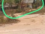 IMG-20260928-WA0174