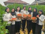 IMG-20261021-WA0050